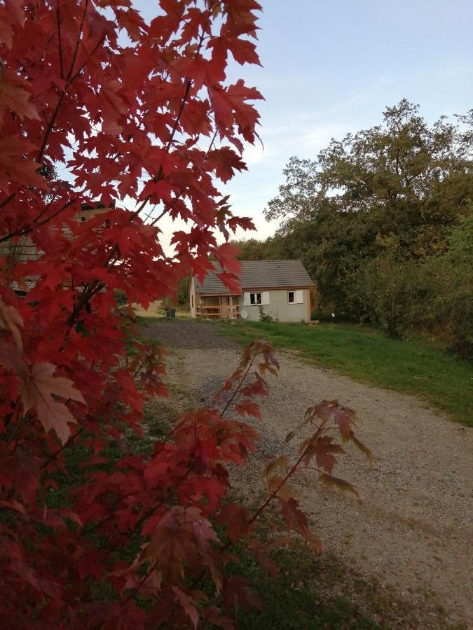 Le Chalet De Lilie Bassignac Buitenkant foto